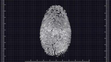 biometrics, access, identification