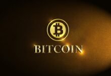bitcoin, coin, finance, business, gold, brown business, black business, brown finance, black finance, brown company, black company, bitcoin, bitcoin, bitcoin, bitcoin, bitcoin