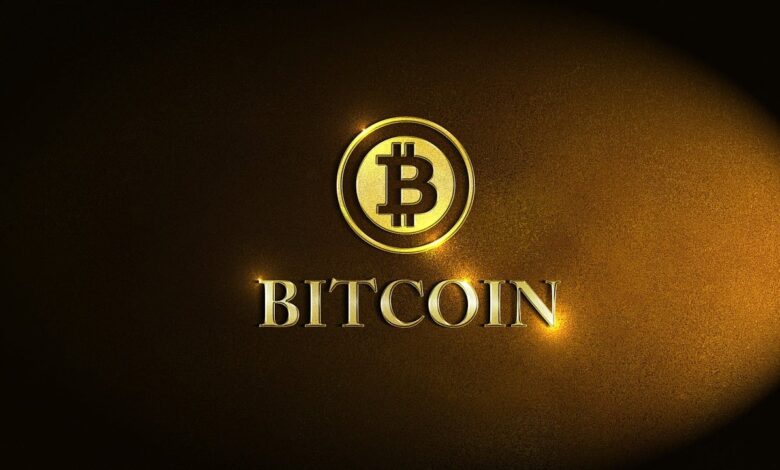 bitcoin, coin, finance, business, gold, brown business, black business, brown finance, black finance, brown company, black company, bitcoin, bitcoin, bitcoin, bitcoin, bitcoin