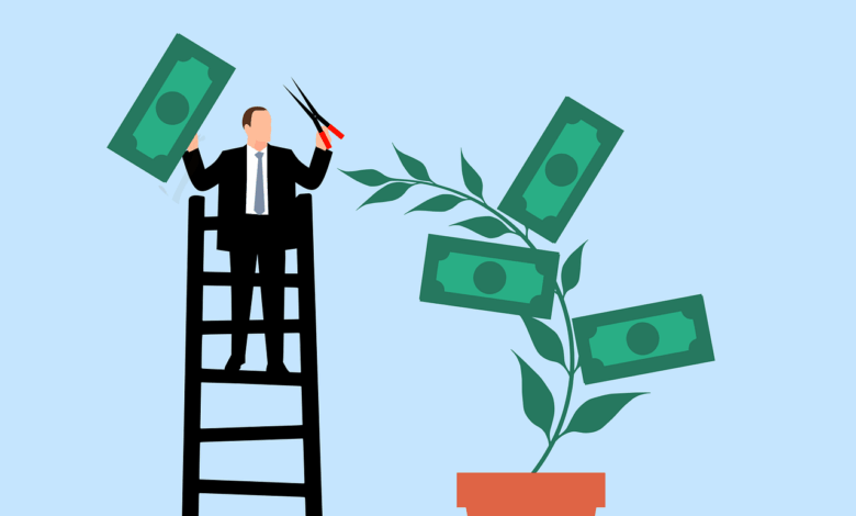 business man, investment, profit, gain, business, collect, money, nature, plant, trim, trimming, scissors, finance, success, growth, wealth, cash, rich, savings, income, earnings, accounting, cartoon, salary, payment, passive income