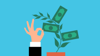 money, plant, investment, cash, tree, business, collecting, growth, profit, banknote, stack, collection, dollar, finance, cartoon, payment, hand, nature, earning, economy, income, passive income, rich, wealth