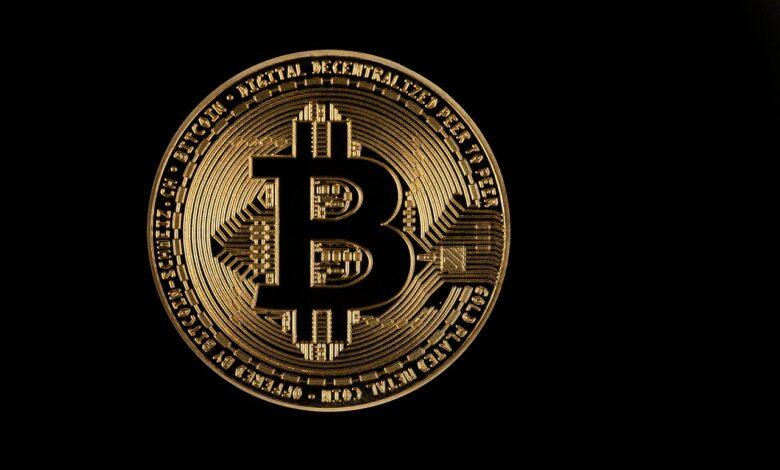 bitcoin, gold, coin, icon, symbol, logo, bitcoin gold, bitcoin logo, currency, cryptocurrency, black background, bitcoin, bitcoin, bitcoin, bitcoin, logo, logo, logo, logo, logo, bitcoin logo, bitcoin logo, bitcoin logo