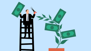 business man, investment, profit, gain, business, collect, money, plant, trim, trimming, scissors, finance, success, growth, wealth, cash, rich, savings, income, earnings, accounting, cartoon, nature, salary, payment, passive income