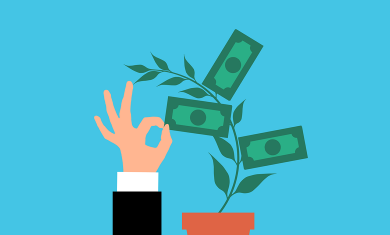 money, plant, investment, cash, tree, business, collecting, growth, profit, banknote, nature, stack, collection, dollar, finance, cartoon, payment, hand, earning, economy, income, passive income, rich, wealth