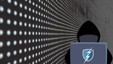 hackers, safety, computer, network, internet, data theft, crime, dark web, dark web, dark web, dark web, dark web, dark web