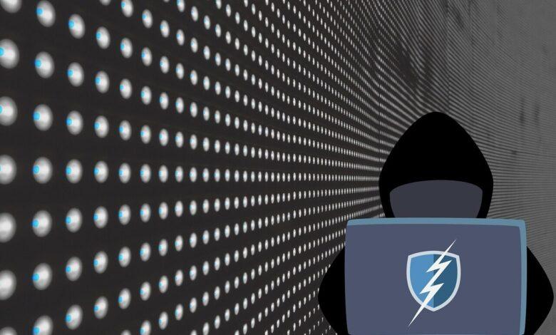 hackers, safety, computer, network, internet, data theft, crime, dark web, dark web, dark web, dark web, dark web, dark web