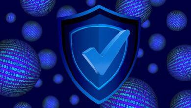 shield, security, lock, vulnerability, firewall, encryption, authentication, password, phishing, malware, spyware, ransomware, data protection, threat, risk, protection, prevention, surveillance, alarm, access control, backup, update, security protocol