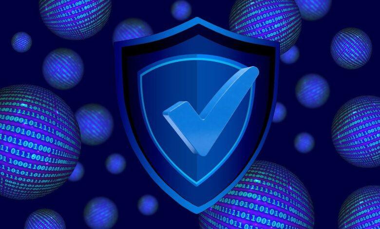 shield, security, lock, vulnerability, firewall, encryption, authentication, password, phishing, malware, spyware, ransomware, data protection, threat, risk, protection, prevention, surveillance, alarm, access control, backup, update, security protocol