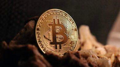 bitcoin, cryptocurrency, blockchain, btc, money, crypto, bitcoin, bitcoin, bitcoin, bitcoin, bitcoin, btc, btc